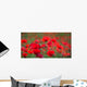 Red Poppies Close-up Wall Decal