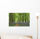bluebell forest Wall Mural