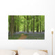 bluebell forest Wall Mural