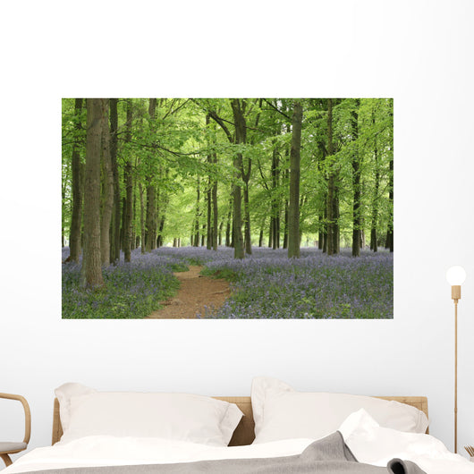 bluebell forest Wall Mural