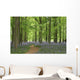 bluebell forest Wall Mural