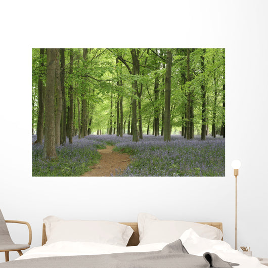 bluebell forest Wall Mural