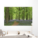 bluebell forest Wall Mural