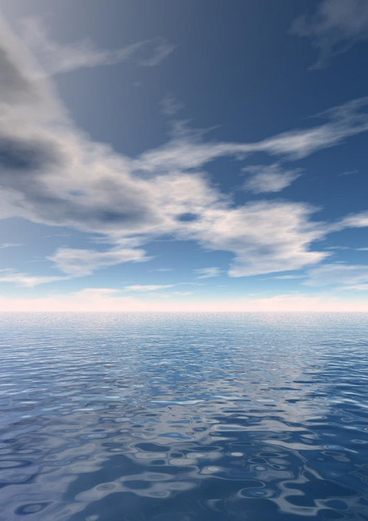Seascape Wall Mural