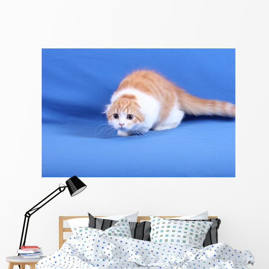 Wall Mural