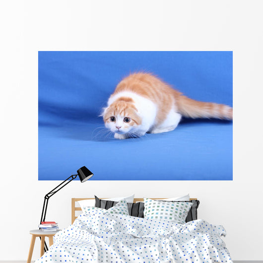 Wall Mural