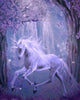 Last Unicorn Wall Mural