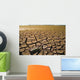 Drought-1a Wall Decal