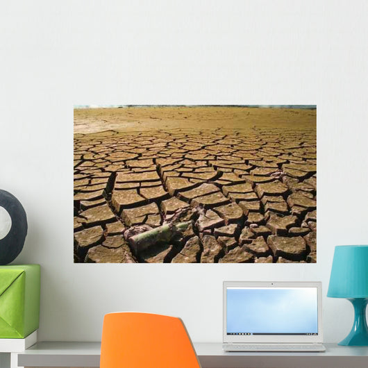 Drought-1a Wall Decal