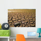 Drought-1a Wall Decal