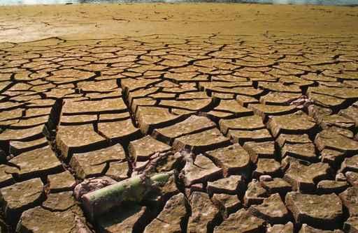 Drought-1a Wall Decal