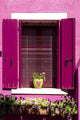 Flower Pots Window Burano