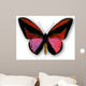 Papillon Wall Decal