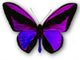 Purple Butterfly Wall Decal