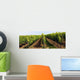 Weinberg 5 Wall Decal