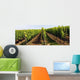 Weinberg 5 Wall Decal