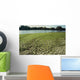 Drought-6a Wall Decal