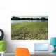 Drought-6a Wall Decal