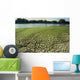 Drought-6a Wall Decal