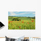 Poppy Field Wall Decal
