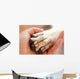 Friendship between Human and