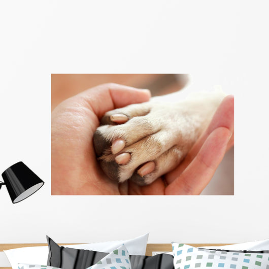 Friendship between Human and