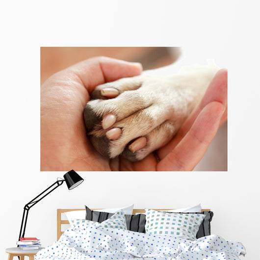 Friendship between Human and