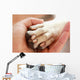 Friendship between Human and