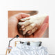 Friendship between Human and