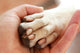 Friendship between Human and