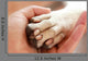 Friendship between Human and