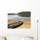 Beached Canoe Wall Mural