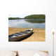 Beached Canoe Wall Mural