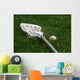 Lacrosse Stick and Ball Wall Decal