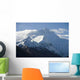 North Face Mt Everest Wall Decal