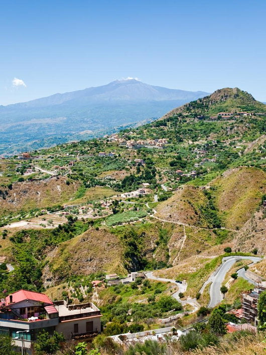 Etna and Agricultural Gardens