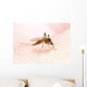 Anopheles Mosquito - Dangerous Vehicle of Infection Wall Mural