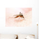 Anopheles Mosquito - Dangerous Vehicle of Infection Wall Mural