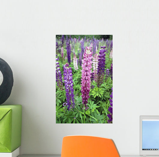 Lupine 3 Wall Mural