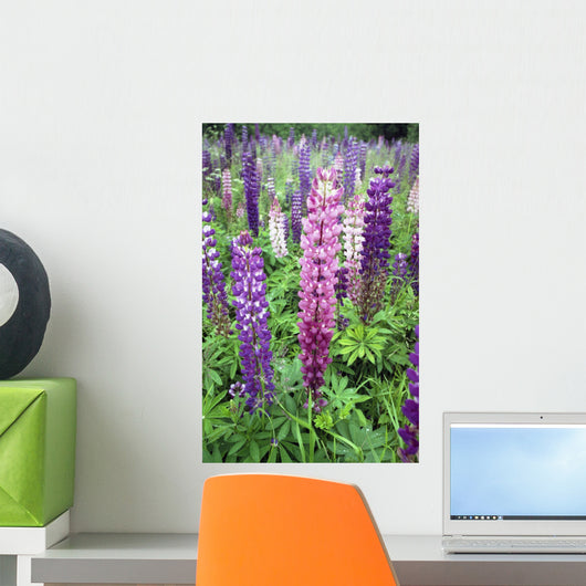 Lupine 3 Wall Mural