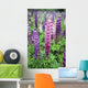 Lupine 3 Wall Mural