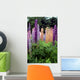 Lupine 1 Wall Mural
