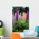 Lupine 1 Wall Mural