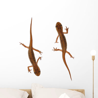 Two Newts Wall Decal Sticker Set shown on a wall