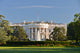 White House Washington Dc
