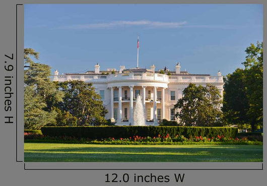 White House Washington Dc