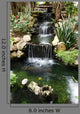 Waterfall with Pond