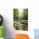 Stream Forest