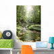 Stream Forest