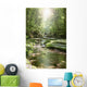 Stream Forest